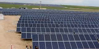 Enerji Projeleri, Doğalgaz ve Elektrik Dağıtımı 